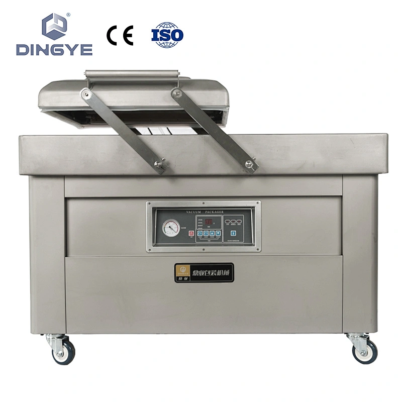 dingye-dz500-2SB.jpg